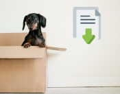 contrato-subarrendamiento-vivienda-mascota